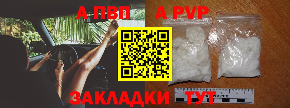 A PVP Сальск