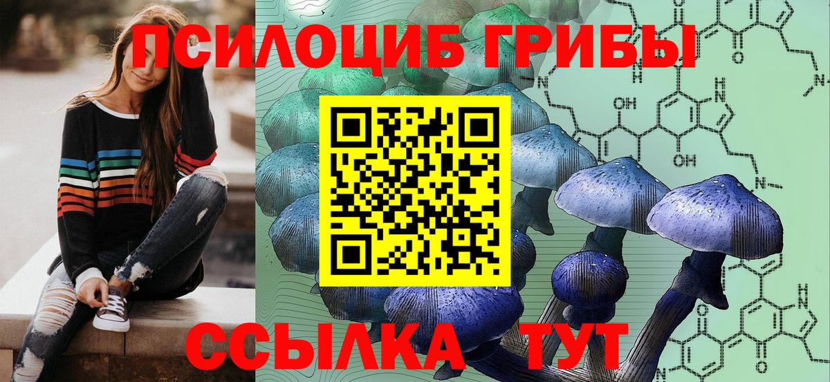 Сальск  Псилоцибиновые грибы Psilocybine cubensis  Псилоцибиновые грибы прущие грибы  Вход с VPN 